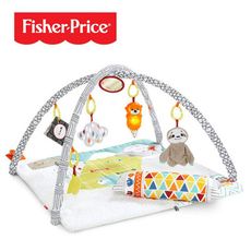 Fisher-Price 費雪 感官訓練可愛動物健身器(偏遠地區不配送)【悅兒園婦幼生活館】