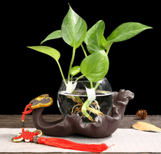 創意綠蘿水培花瓶植物盆器鮮花瓶插花瓶器皿水養容器小擺件裝飾品