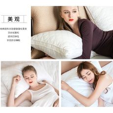 免運 長方形一對裝枕芯 全棉枕頭 枕芯 成人酒店羽絲絨護頸枕頭單人學生枕頭 全棉面料 羽絲絨枕芯枕頭