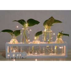 水培植物玻璃瓶 桌面餐桌裝飾品 擺件 北歐創意花瓶 小清新水培容器 養花瓶 裝飾品 桌上擺飾