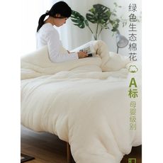 免運 純棉花  棉被 床墊被子冬被棉絮全棉棉胎被芯單人墊被棉花 被褥子 - 10斤220*240