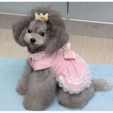 寵物狗狗泰迪比熊幼犬奶狗貴賓春秋冬裝衣服珍珠蝴蝶裙子