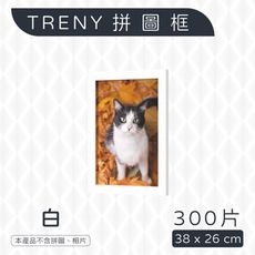 TRENY 300片拼圖框38x26cm