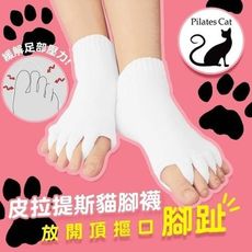 韓國 皮拉提斯貓腳襪(共2色)