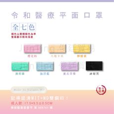 📢現貨秒出⚡ 【素色款】 令和平面醫療口罩