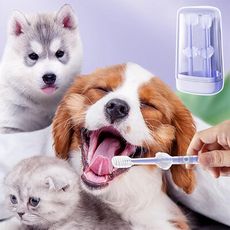 寵物矽膠小牙刷 寵物專用牙刷 毛孩口腔清潔 狗狗潔齒用品