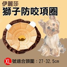 伊莉莎白防咬項圈-獅子款XL號 中型犬 防抓防咬防舔 寵物美容脖子頭套