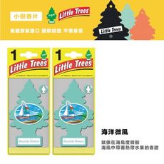 Q-STAR全新上市 美國 Little Trees 小樹香片 香氛片 車用芳香吊飾(海洋微風)