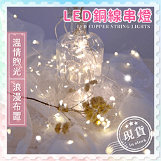LED銅線串燈3米【愛戀氛圍】螢火蟲燈串 銅線燈 小夜燈 瓶子燈 窗簾燈 LED燈 裝飾 房間裝飾