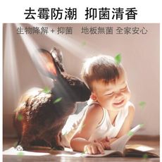 GREEN植物酵素深層潔淨 地板清潔 拖地 木地板養護環保無磷無螢光劑 奈米超濃縮萬用清潔片