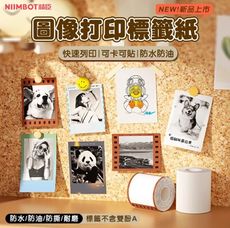 台灣原廠公司貨 B21 Pro B21_PRO 卡貼 復古貼紙 精臣 標籤紙 姓名貼 商用貼紙  標