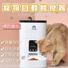 玲瓏貓寵物餵食器 6L 視訊版 自動餵食器 大容量 智能餵食 定時定量