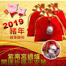 紫南宮過爐開運祈福平安豬
