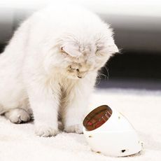 【GOSHOP】小米有品 貴為壁掛雷射逗貓器貓玩具｜雷射逗貓棒