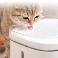 【GOSHOP】小米有品 米家智能寵物飲水機 寵物飲水機 活水機｜貓咪不喝水 有解！