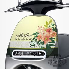《潮酷文創》GOGORO面板貼 創意保護貼 獨特車貼 車膜 / GR008-Collection