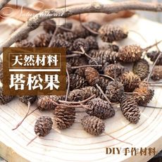 [台灣出貨] 天然乾燥塔松果粒 乾果 聖誕節 花圈 DIY材料 香薰蠟燭材料 玻璃罩花材