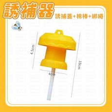 【Lovephone】誘捕器| 誘蠅球 捕蠅球 黏蒼蠅球 果蠅誘捕劑 果蠅餌劑 果實蠅引誘劑 黏蟲板