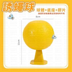 【Lovephone】誘蠅球| 捕蠅球 黏蒼蠅球 果蠅誘捕劑 果蠅餌劑 果實蠅引誘劑 誘捕器 黏蟲板