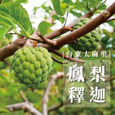 【年節禮盒】台東太麻里 鳳梨釋迦 禮盒 (4顆裝/5斤)