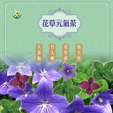 花草元氣茶(2包/組)