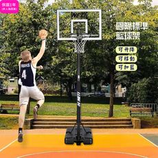 【KingJET 】2003成人籃球架/透明籃板/實心籃框/高低可調/自由移動/MIT