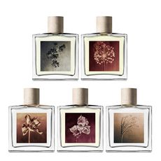 AllSaints 中性淡香精 100ml (永夜之光/日落暴動/沉香之都/金屬波光/皮革之境)