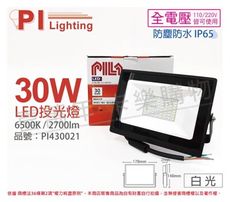 【PILA沛亮】LED BVP03065 30W 6500K 白光 全電壓 IP65 投光燈