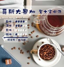 哥斯大黎加聖十字水洗咖啡豆｜ (半磅)黑咖啡現貨