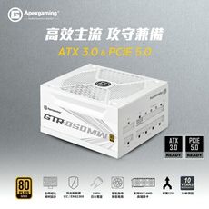 Apexgaming GTR850MW 金牌/全模/白色ATX3.0