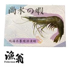 嘉義漁翁｜活凍蝦2-3  | 0.6