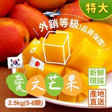 【菊頌坊】屏東枋山愛文芒果2.5kg(特大)X2盒(5~6顆/盒)