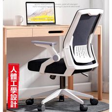 人體工學電腦椅  辦公椅  會議椅  透氣 舒適