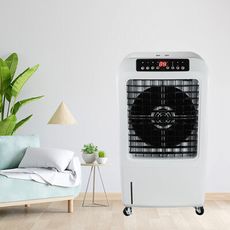 大家源TCY-893002分離式冰涼 30公升水冷扇