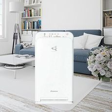 DAIKIN 大金 MC40USCT閃流空氣清淨機