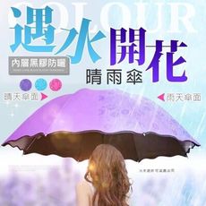 【遇水開花雨傘】折疊傘 遇水開花傘 晴花傘 魔術雨傘 晴天傘 雨傘 遇水開花