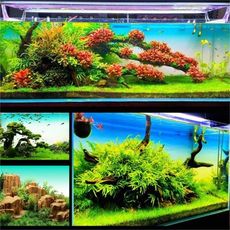 魚缸水族箱漸變背景貼紙青白藍白漸變高清不掉色自粘造景背景畫 60x30x0cm
