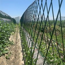 黃瓜爬藤架西紅柿豆角專用支撐架種菜蔬菜攀爬園藝架子 粗11MM長度90CM 高度90CM三橫六豎