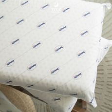 §同床共枕§ 鄧祿普Dunlopillo 100%純天然乳膠平面式枕