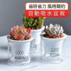 歐文購物 自動吸水盆栽 吸水花盆 透明花盆 水培花盆 懶人盆栽 花盆 盆栽 塑膠盆 植物花盆