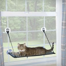 【咪多樂】＜單層吊床＞K&H正美國貓咪吊床 吸盤式貓窩 寵物吊床 貓跳台 吸盤貓吊床 單層吊床 貓咪