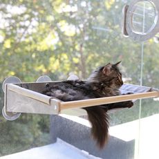 【咪多樂】《布吊床款》 貓爬架牆 玻璃貓牆 吸盤 漫步雲端 吸盤式貓吊床 耐重15kg 貓抓柱