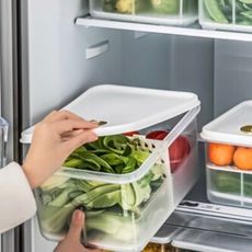 冰箱保鮮蔬果收納盒 大容量果蔬生鮮密封盒 日式冰箱收納盒 隔層設計（中號）