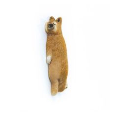 壁ごこち面壁磁鐵(日本職人製) -柴犬