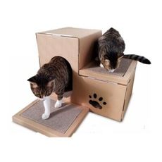 雙層階梯貓屋 磨爪屋 瓦楞紙貓屋 紙板貓屋 貓抓板 貓咪玩具 貓抓板 寵物用品