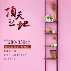 dayneeds (第三代改款)頂天立地收納架 搭30x20ㄇ型網片4片(送PP板4片)