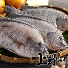 【上野物產】嚴選台灣鯛魚