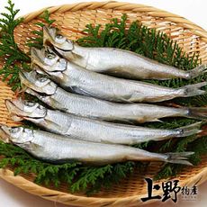 【上野物產】加拿大產 北海野生柳葉魚（200g±10%/包）x6包