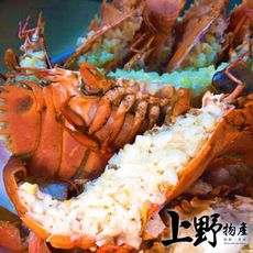 【上野物產】東南亞頂級扇蝦（360g±10%/盒）