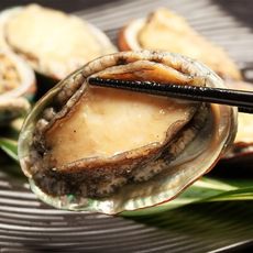 【上野物產】 帶殼鮑魚 (1000g/包約20顆) -